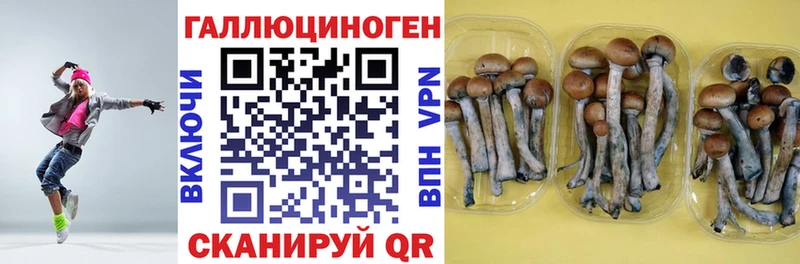 цена   ссылка на мегу tor  Псилоцибиновые грибы прущие грибы  Тулун 